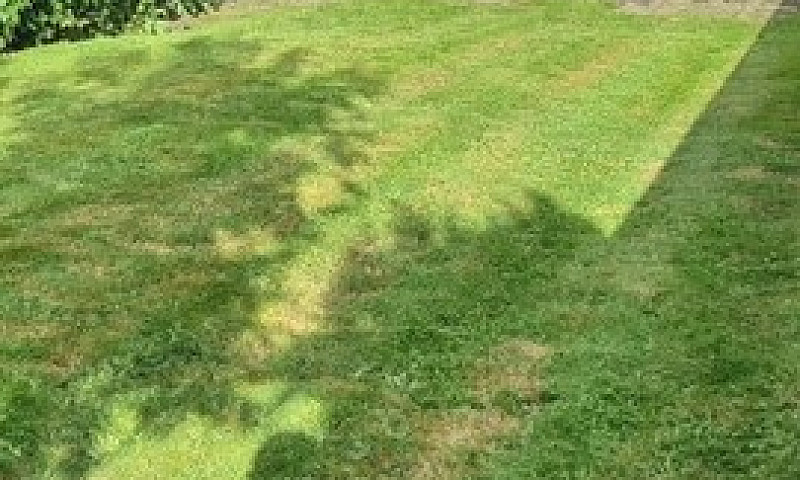 One Bedroom Garden F...