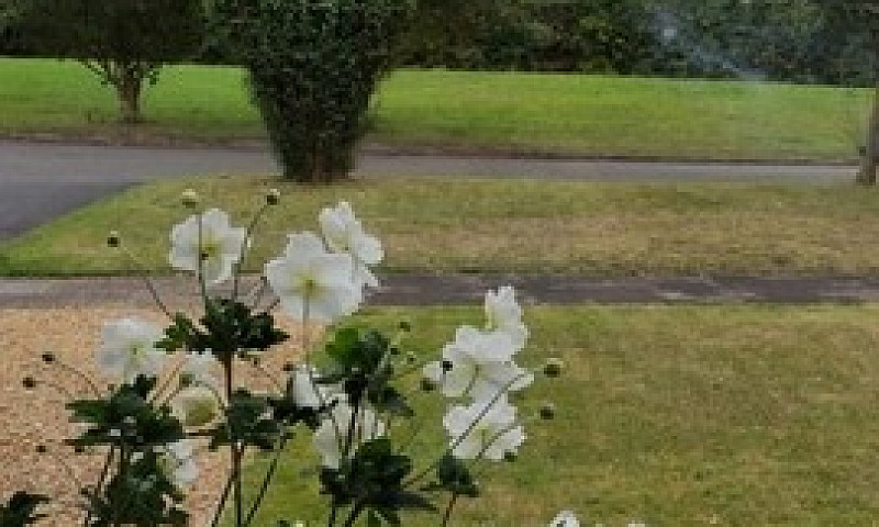 4/5 Bedroom House In...