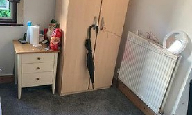 1 Single Room For Re...