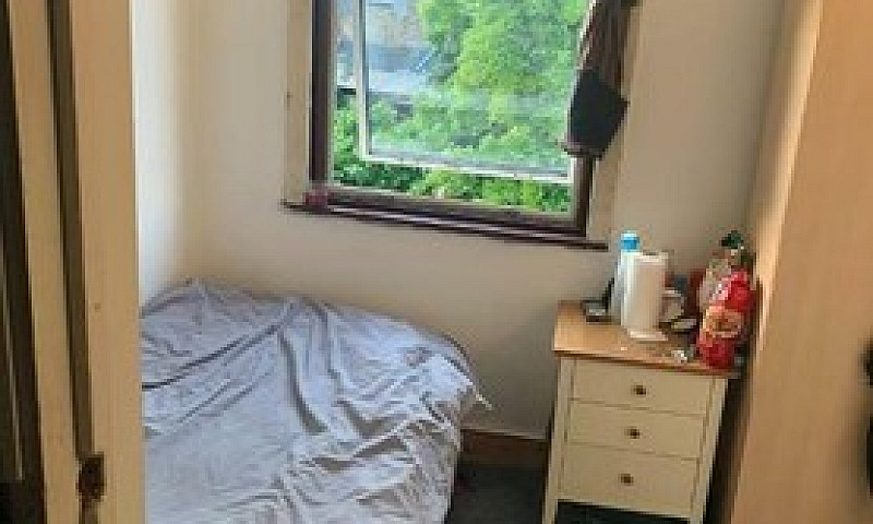1 Single Room For Re...