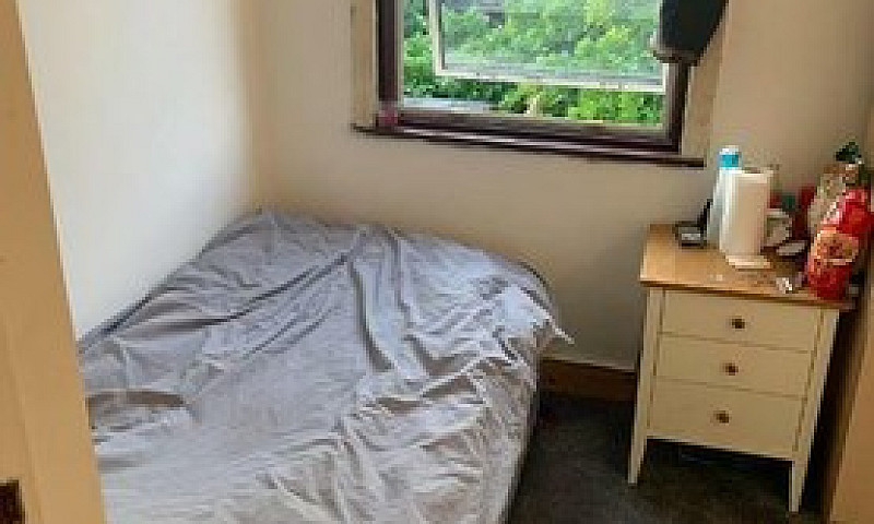1 Single Room For Re...