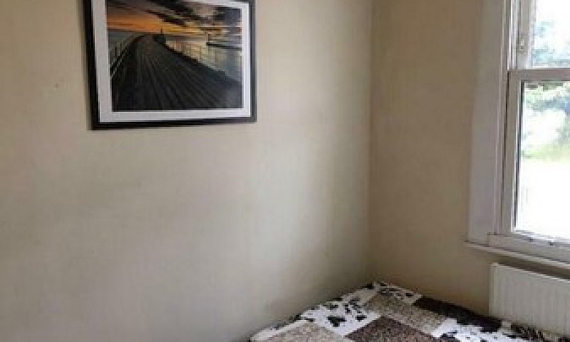 Single Room Stratfor...