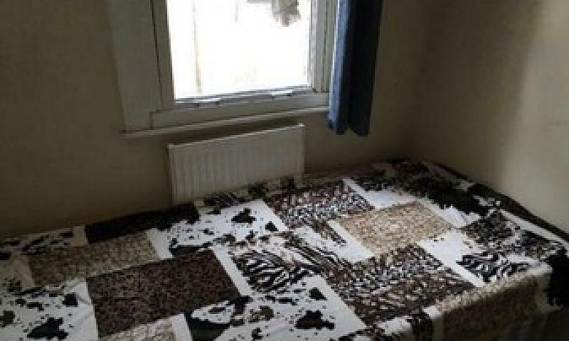 Single Room Stratfor...