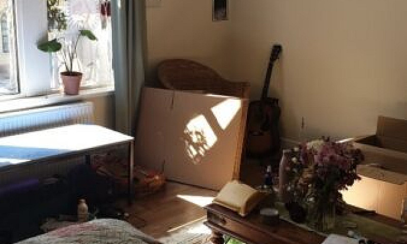 Large Accommodation/...