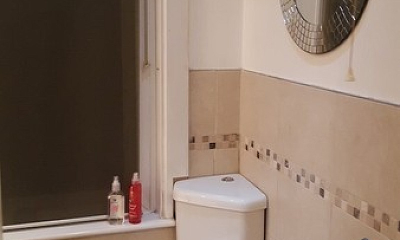 Nicely Presented One...