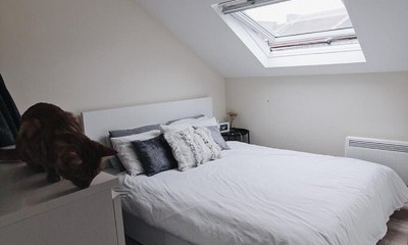 Modern 1 Bed Flat Fo...