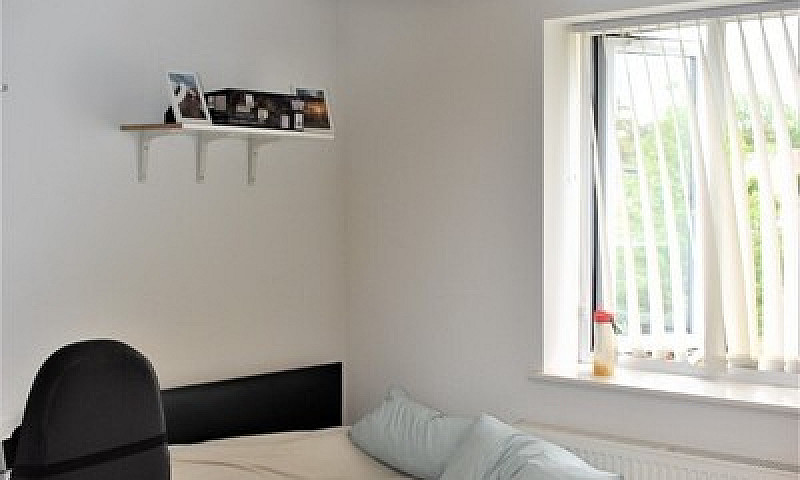 5 Bed House To-Let I...