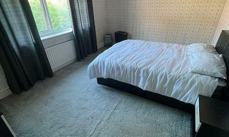 1 Bedroom To Rent Ho...