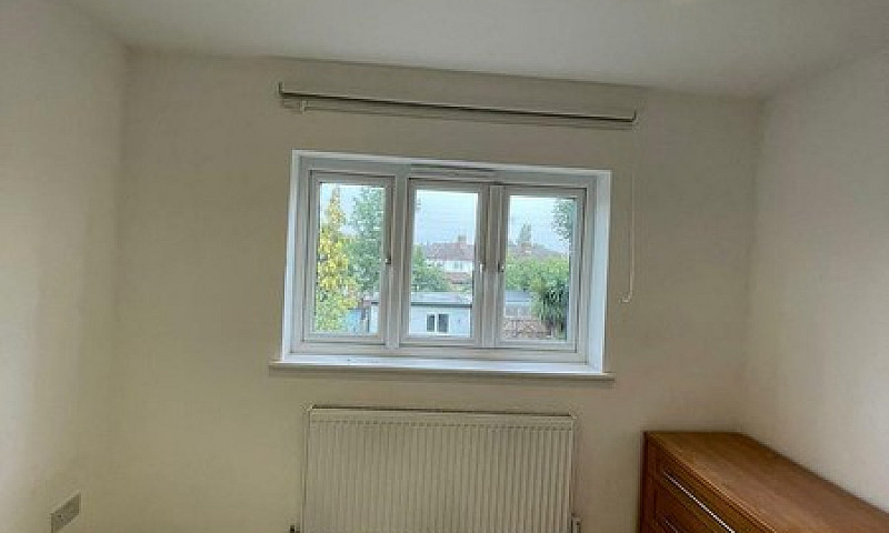 Lovely Single Room T...