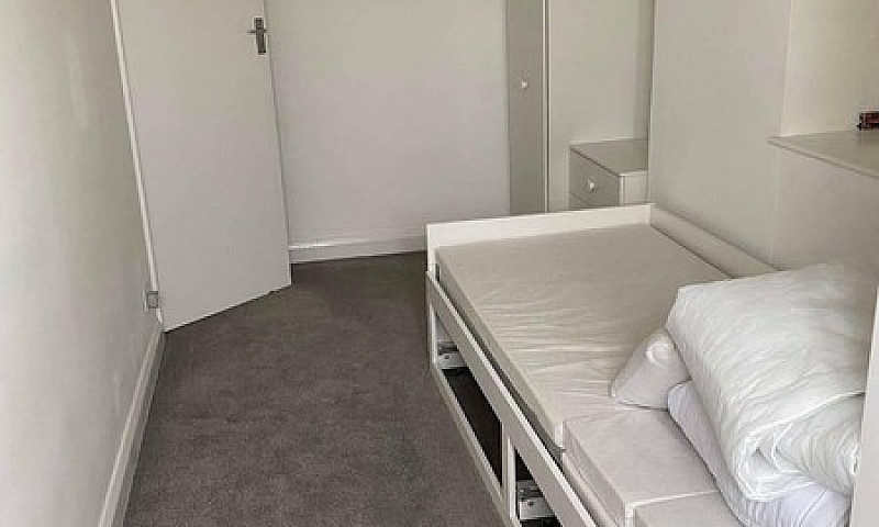 One Single Room To R...