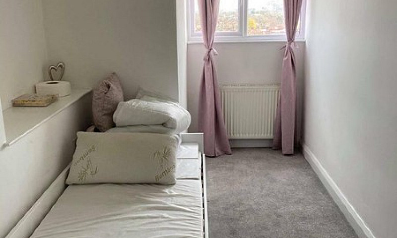 One Single Room To R...