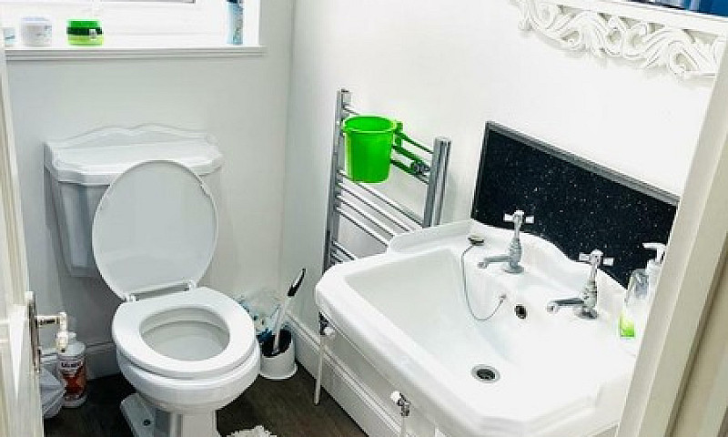 Single Room In Plais...