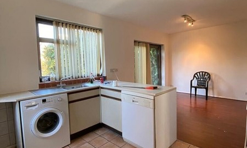 Huge One Bedroom Fla...