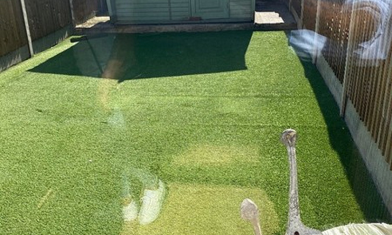 Spacious 3 Bed House...