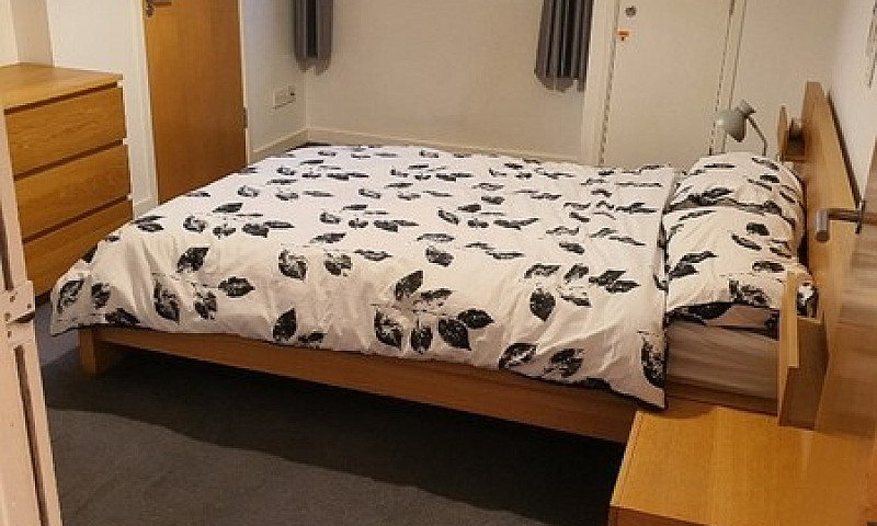 High Quality Furnish...