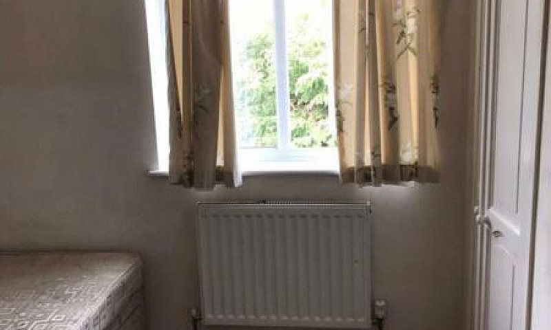 Room For Rent...