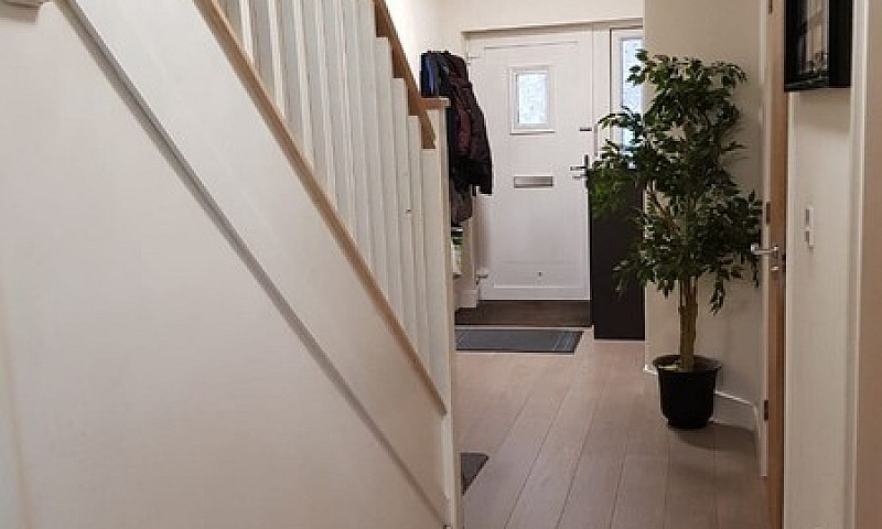 Spacious 4 Bed House...
