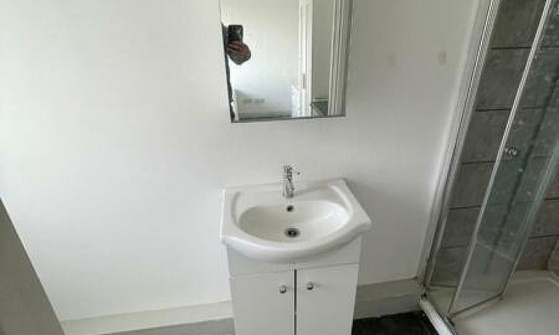 Luxurious Studio Fla...