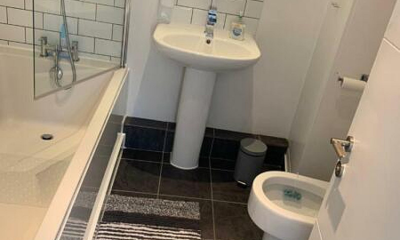 Beautiful Flat Avail...
