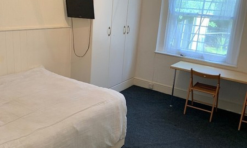 Large Studio Swiss C...