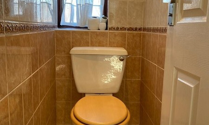 Huge One Bedroom Fla...