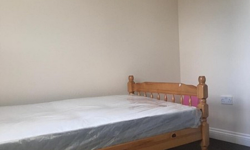 Spacious Purpose Bui...