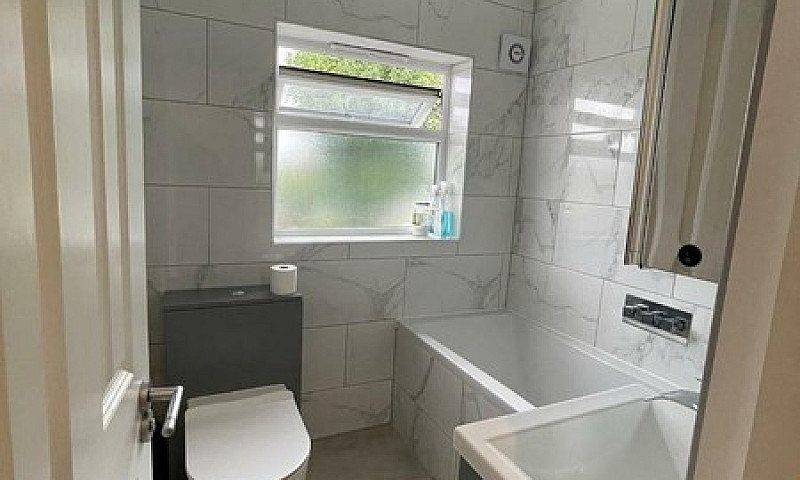 Lovely Single Room T...