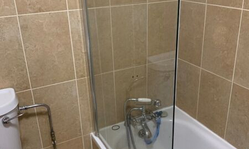 Large Studio Swiss C...