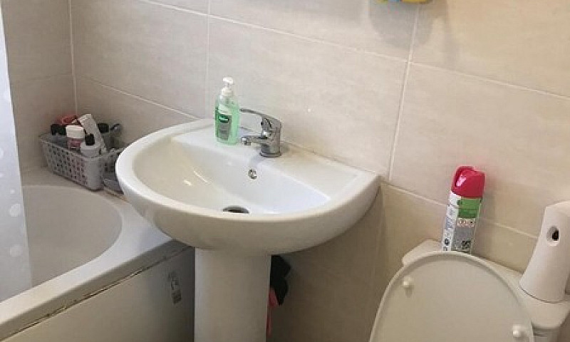 Spacious One Bed Gro...