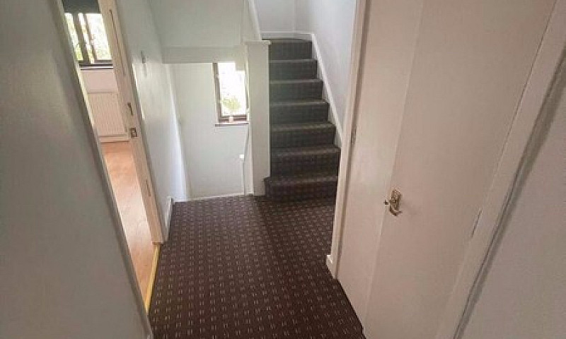4 Rooms House + Open...