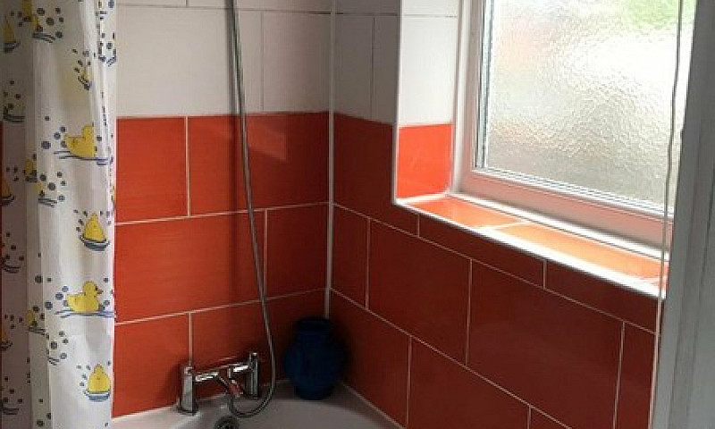 'Homeless Accommodat...
