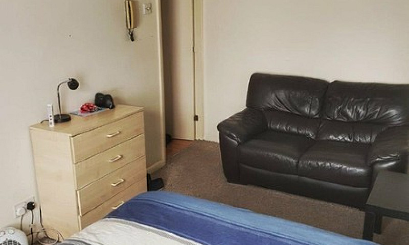 Nice Studio Flat Pal...