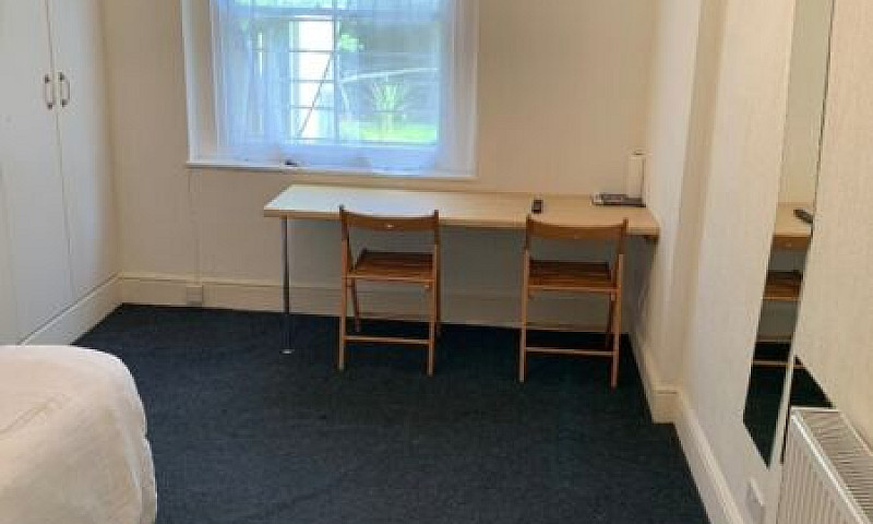 Large Studio Swiss C...
