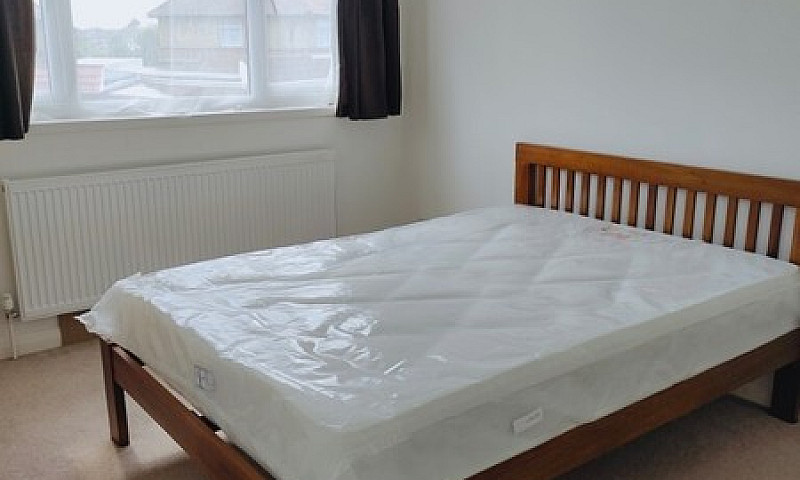 Double Room For Rent...
