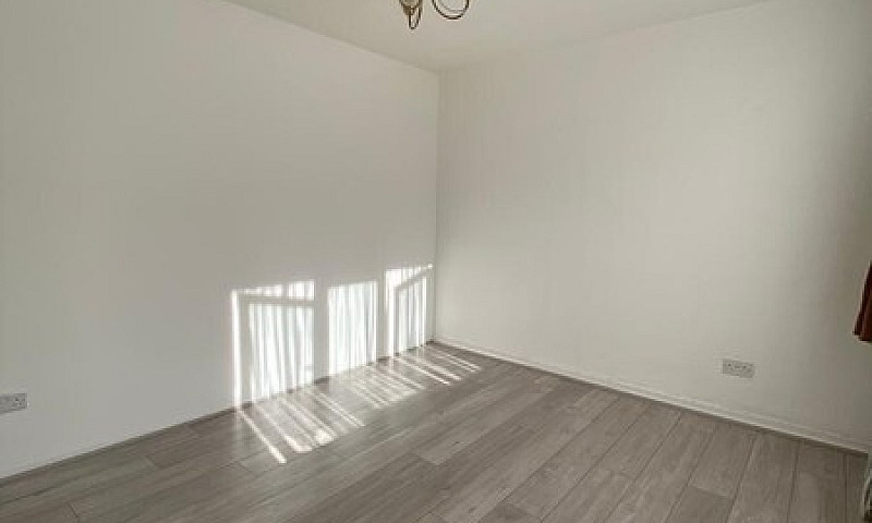 Huge One Bedroom Fla...