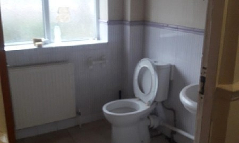 Large Double Room Su...