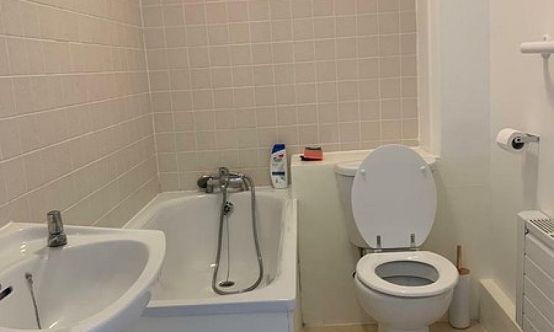 Beautiful 1Bedroom S...