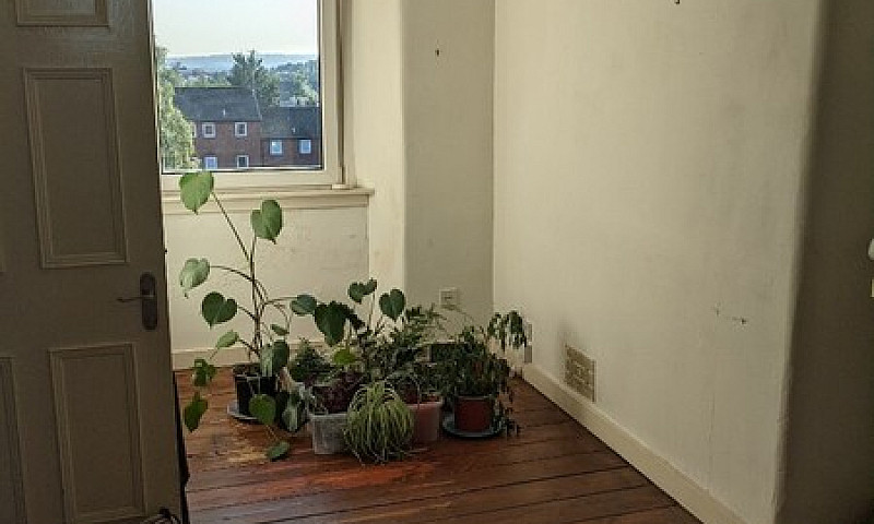Two Bed Flat For Ren...