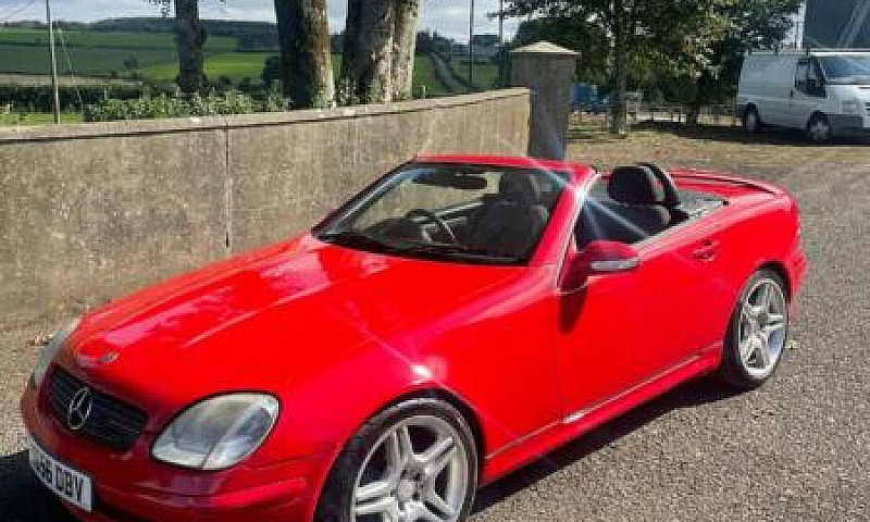 2001 Slk Mercedes Co...