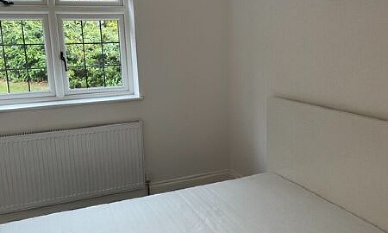 Immaculate Modern 1 ...