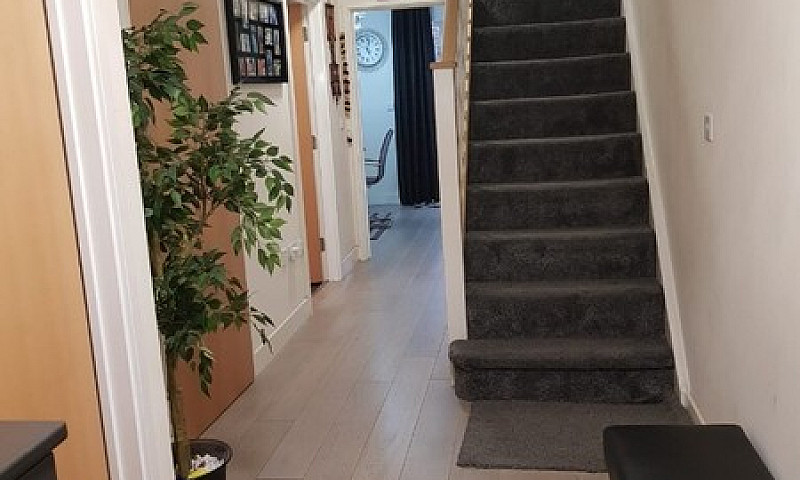 Spacious 4 Bed House...