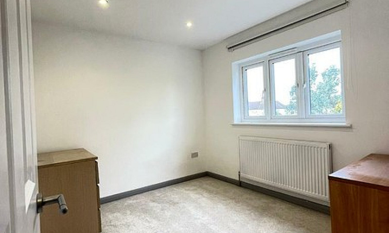 Lovely Single Room T...