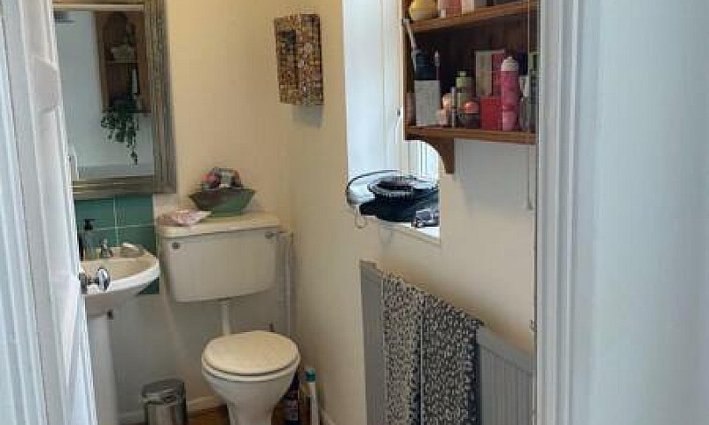 Clean & Bright Doubl...