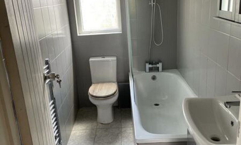 Newly Renovated 3 Be...