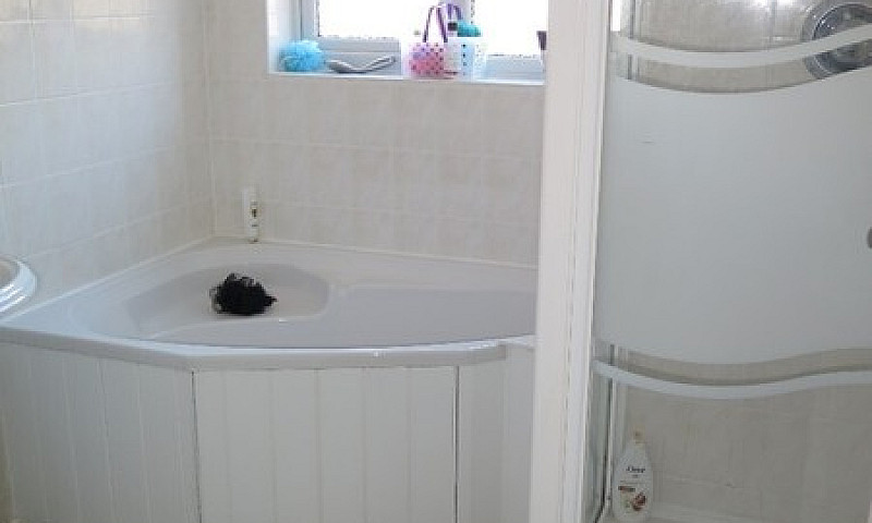 A Single Room To Ren...