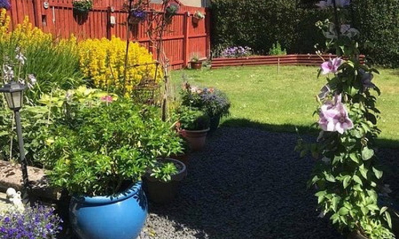 Must See! 3 Bedroom ...