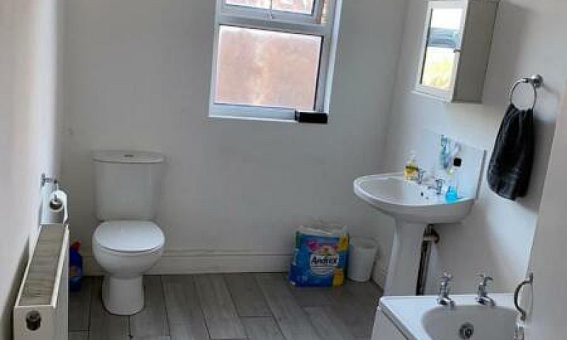 Smithdown Road L15 -...