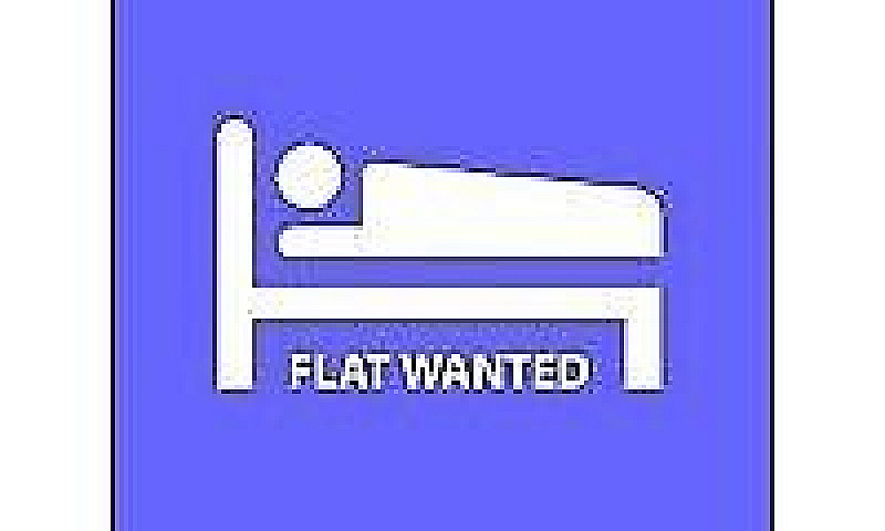 One Bed Flat Wanted ...