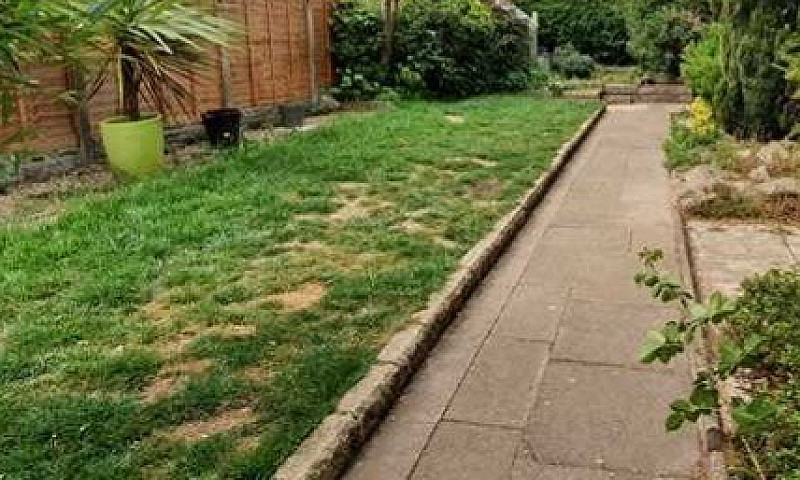 3 Bedroom House Rent...