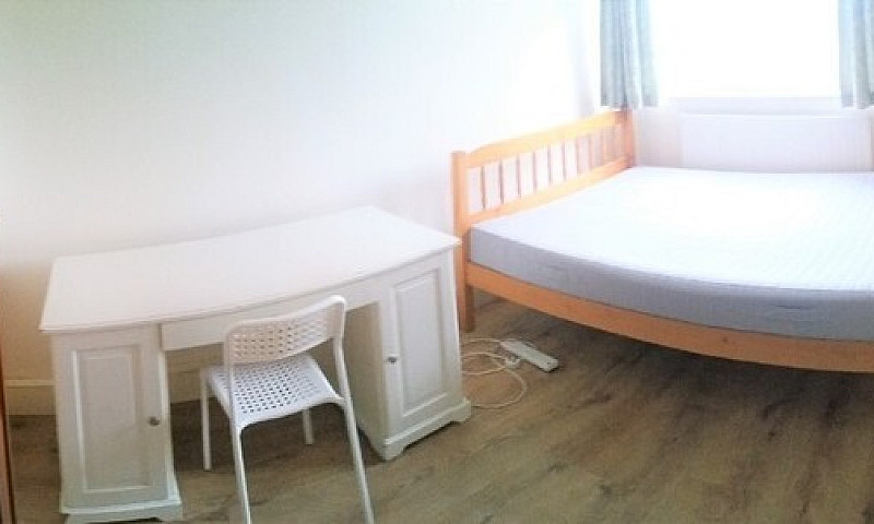 Mile End, E3, Excell...